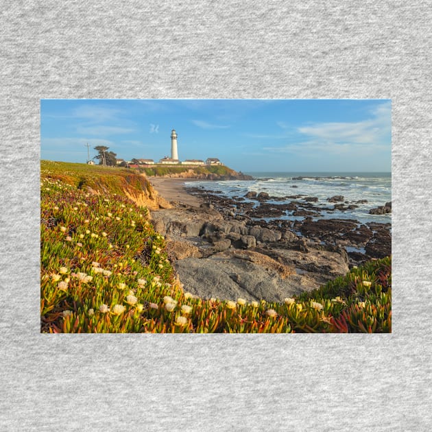 Pigeon Point Lighthouse by jvnimages